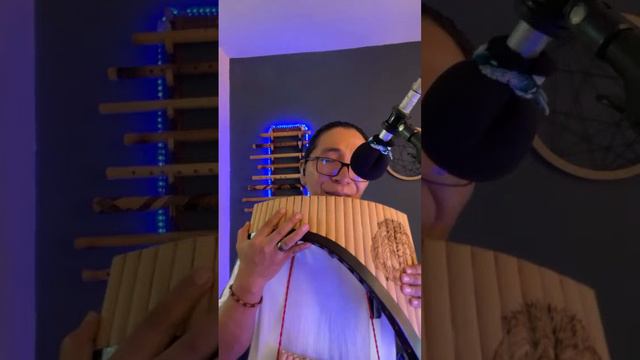 Atipak Quena - Músic Instrumental/PanFlute #livemusical смотреть онлайн