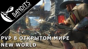 PvP в открытом мире New World