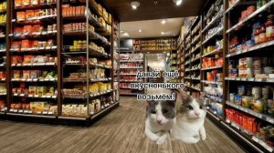 Котики гуляют! ❤️?/Кетти и котики/