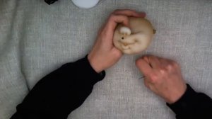 Эльф в ботинке