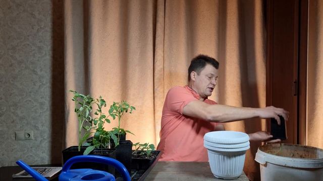 месяц от роду перевалка и вопросы для моих подписчиков огород на окне часть 9 смотреть онлайн