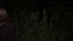 Кто Такие ЧЕПЫШИ и Другие Лесные КРИПТИДЫ