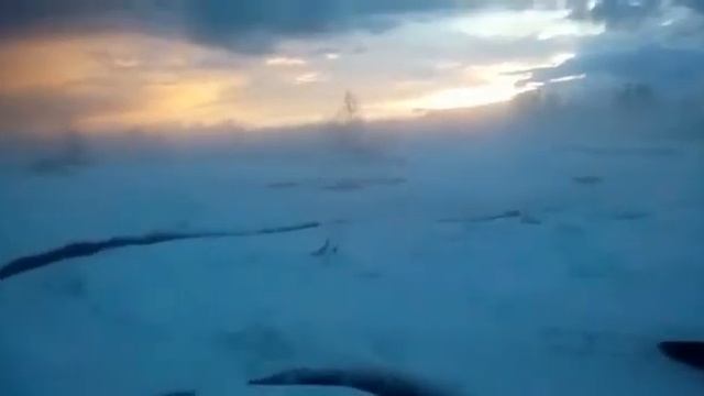 #ПАЛЛАСОВКА. Природа не перестаёт нас удивлять, своими аномалиями..... смотреть онлайн