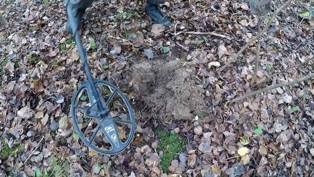 В реку за кубышкой! Коп в лесу, осень 2019! смотреть онлайн