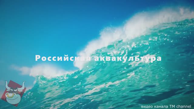 Трейлер к репортажу о первом в России проекте цифровой аквафермы полного цикла