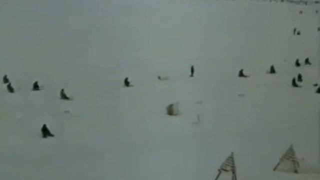 Зимняя рыбалка с подвохом. смотреть онлайн