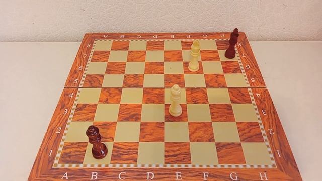 ТАНГО БЕЛОГО ФЕРЗЯ ОТ ТРОИЦКОГО! #chess #шахматы #шахматыдлявсех