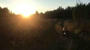 ВЯЛЕННЫЕ ПОМИДОРЫ ?! Рецепт из глухой деревни для РУСКОЙ ПЕЧИ, ДУХОВКИ, ЭЛЕКТРОСУШКИ!