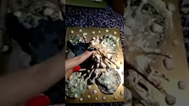 Как сделать поделку из ракушек смотреть онлайн