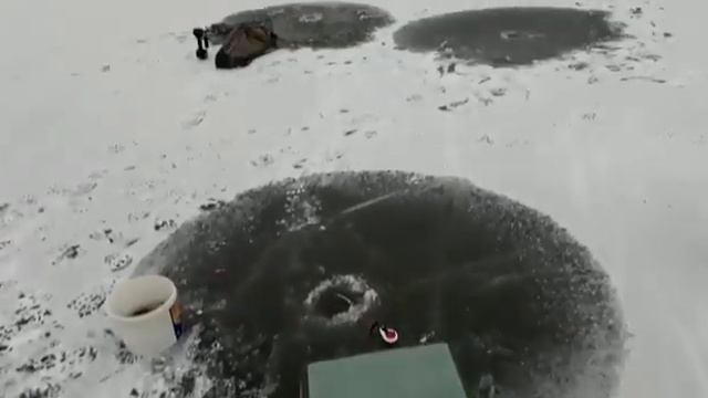 Открытие зимнего рыболовного сезона смотреть онлайн