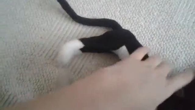 Игрушки коты воители + :) смотреть онлайн