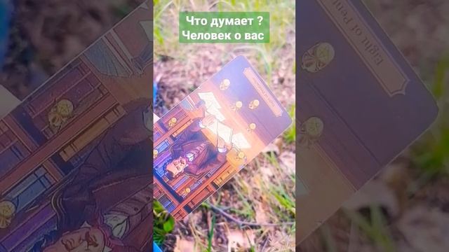 #гадание #таро #tarot #таролог #гаданиеонлайн #shorts  ЧТО ДУМАЕТ ЧЕЛОВЕК ? О ВАШЕЙ СИТУАЦИИ