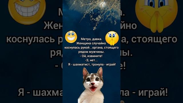 ?Шутки для хорошего настроения / СМЕХ ДО СЛЕЗ / ЮМОР