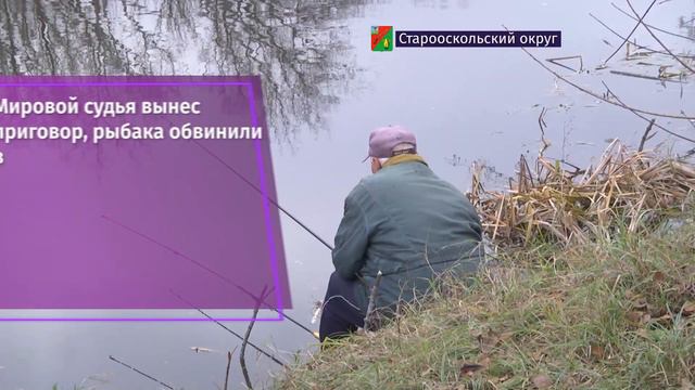 350 тысяч рублей заплатит рыбак за 16 лещей, выловленных в Старооскольском водохранилище
