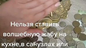 Денежные приметы как притянуть большие деньги луком и носками Денежная жаба по фен шуй