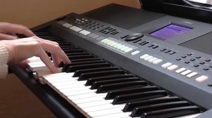 «Выйду ночью в поле с конём…» («Конь») (Yamaha PSR-S650).