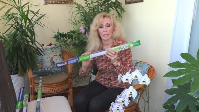 Орхидеи... Узнала новое о фитолампах. смотреть онлайн