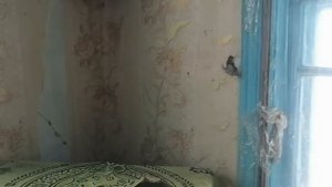 ОБЗОР ДОМА за 4000 $ /Агрогородок ГРЕСК /БЕЛАРУСЬ