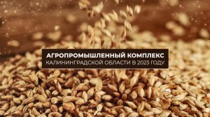 Агропромышленный комплекс Калининградской области в 2023 году