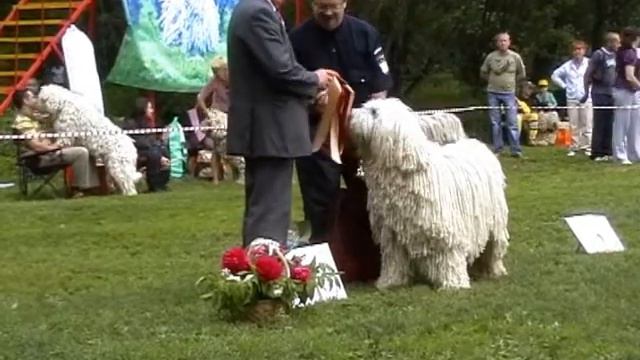 Ветераны ЧК 2011 смотреть онлайн