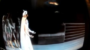 ЛЮБИТЕЛЯМ БАЛЕТА : Николай Цискаридзе и Екатерина Осмолкина Фрагмент из "Баядерки"