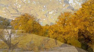 Ореховая роща в Ленинауле Казбековский район #Россия #Кавказ #Дагестан #Казбековскийрайон