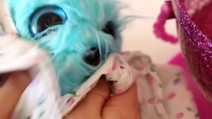 ПУШИСТИК-ПОТЕРЯШКА. КТО ПОПАЛСЯ?  Scruff a Luvs  Мягкая игрушка СЮРПРИЗ