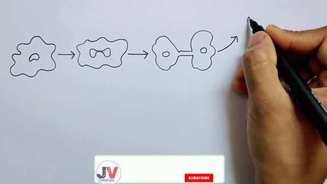How to draw binary fission in amoeba class 8|Binary fission in amoeba diagram class 10| NCERT смотреть онлайн
