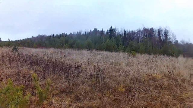 Охота на зайца с гончей || Заяц Беляк! смотреть онлайн