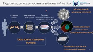 Публичная лекция «Гидрогели — из чего делают органы в пробирках».9 февр. 2021 г.