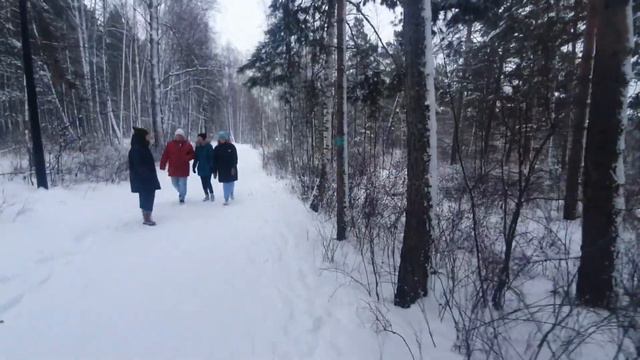 Прогулка  в эко-парке,,Гремячая  грива ".