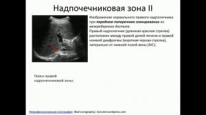 УЗИ надпочечников