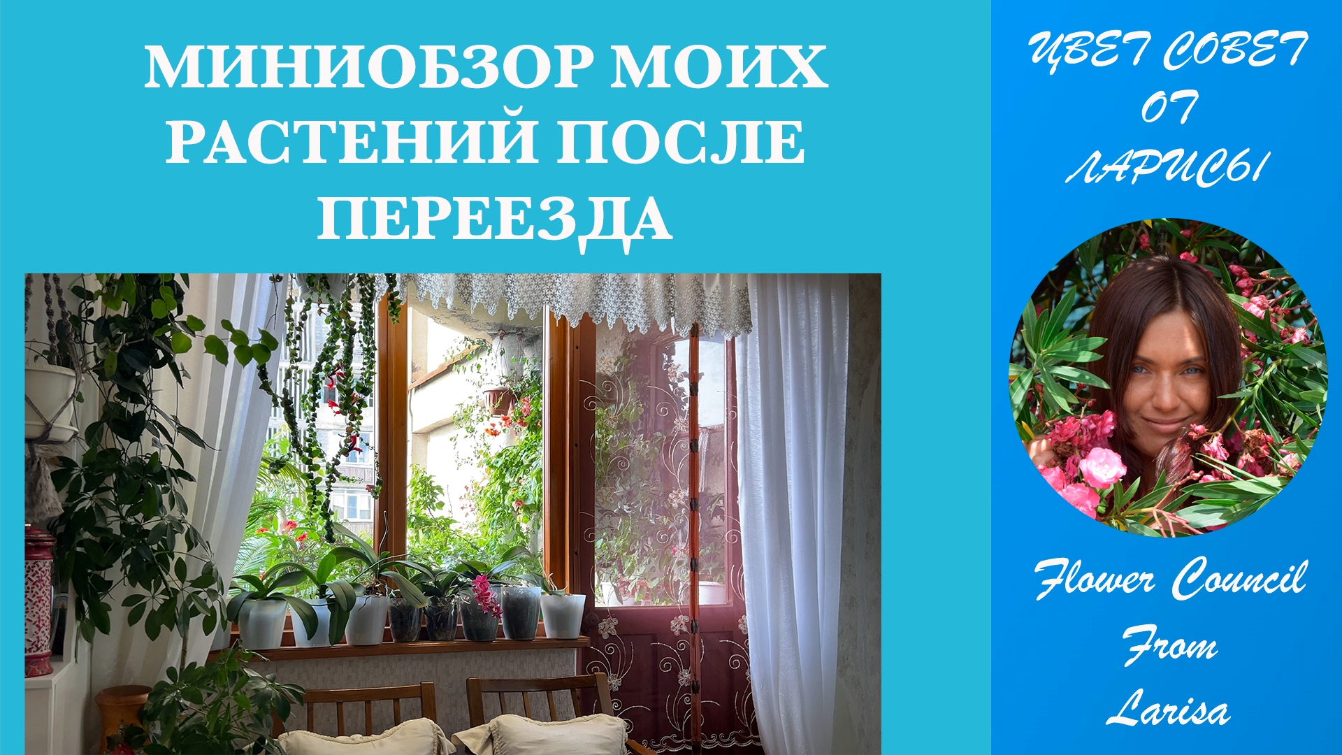 МИНИОБЗОР МОИХ РАСТЕНИЙ ПОСЛЕ ПЕРЕЕЗДА 06.09.2023