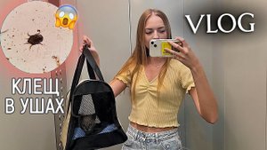 ВЛОГ: Первая ТРЕШ НОЧЬ с котей Чем закончился поход к ветеринару