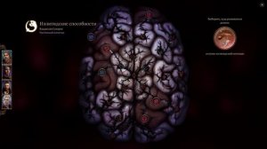 Baldur's Gate 3. Билд Воина-Чемпиона.