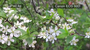 iPad NEW vs Canon60D.