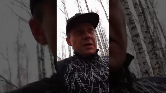 1 апреля - время для изменений. Подстройтесь под ритм природы #изменисебя #новыйобразжизни #силаволи