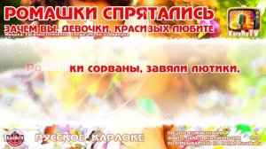 Караоке - Ромашки спрятались (Зачем вы, девочки, красивых любите).