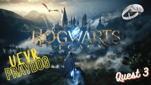 Hogwarts Legacy VR |  UEVR | Quest 3