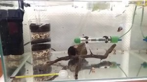 Аквариумистика. Готовлю стойку под аквариумы. Обзор.