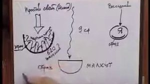 М. Лайтман - Восприятие реальности. 620 Желаний