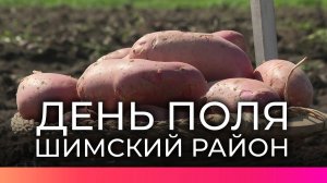 В Новгородской области состоялся День поля