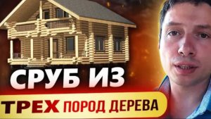 Сруб бани из кедра, лиственницы и сосны _ СтройПроектБани