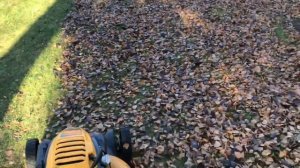 Сбор опавшей листвы с помощью газонокосилки