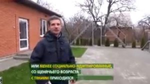 Как научить собаку команде фас