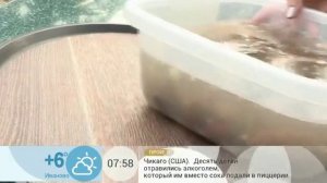 Как вырастить картофель на балконе
