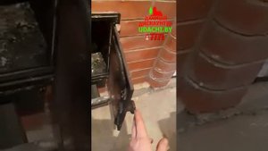 Отзыв от довольного покупателя на печь ComfortProm Чугун!