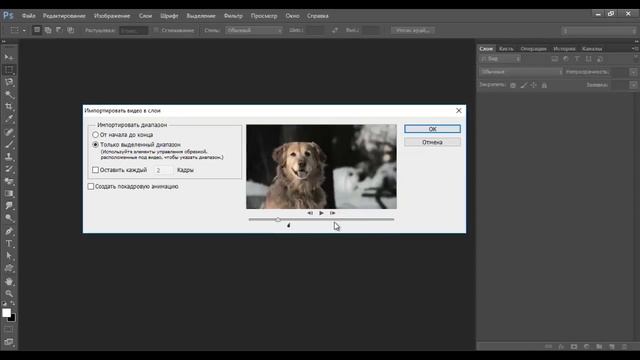 Фото из видео в Фотошопе. Создаем коллекцию фото из видео в Photoshop