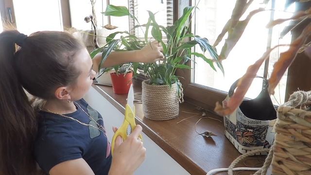 Генеральная УБОРКА в ВАННОЙ/ПАРООЧИСТИТЕЛЬ для УБОРКИ/РЕМОНТ, СКАНДИ интерьер