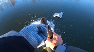 Щедрый ПЕРВЫЙ ЛЁД НА РЕКЕ! Ловля щуки на балансир. Зимняя рыбалка 2020-2021.